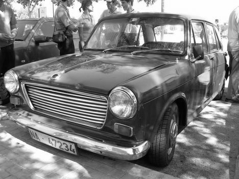 authi-morris-1300-12