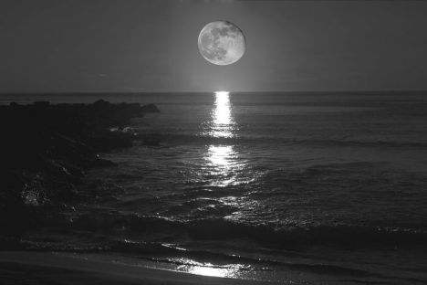 bHVuYSBsbGVuYQ==_240802_7027_1