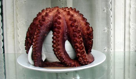 pulpo 2