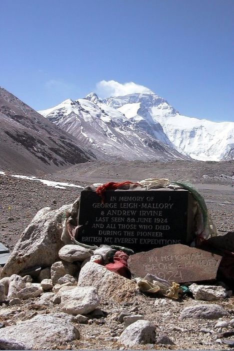 430209_270627119677270_1882376928_n