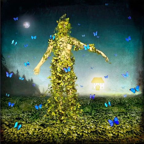 4541647521_b6dcd751d4_o