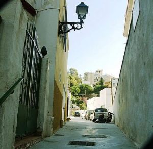 OLYMPUS DIGITAL CAMERA