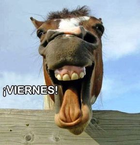 por-fin-viernes-caballo-rsm