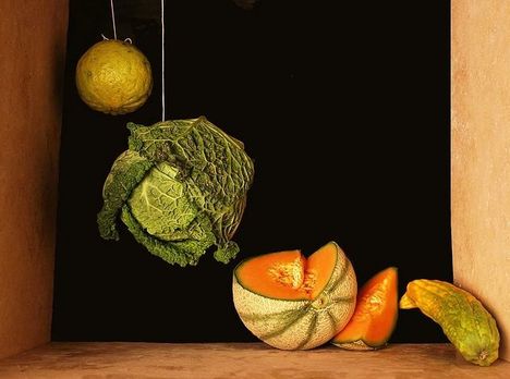 251171183_6ba399f83f_z