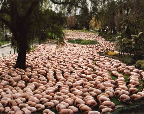 spencer-tunick (27)