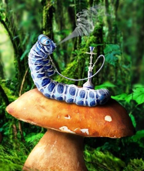 wonderland_caterpillar_by_shorra-d35inst