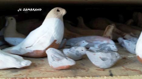 1000301_559607327461138_1935489456_n