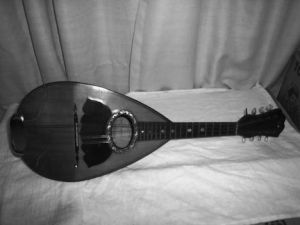 1333657295_346204482_3-Mandolina-Instrumentos-Musicales