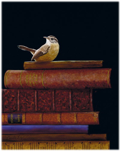 122-books-bird-realism-painting-wren-artist-carolina