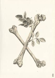 1441385_684683761572383_345545005_n