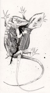 23943_317972398727_1696491_n