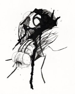 23943_317972418727_3377208_n