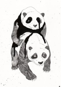 23943_317972423727_5083077_n