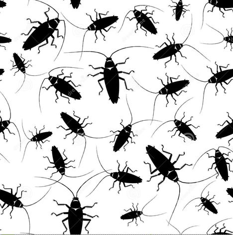 ????????????????????????????????????????????????????????????????????????????????????????????????????