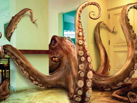 tumblr_l2rwkphiN61qazzfio1_1280