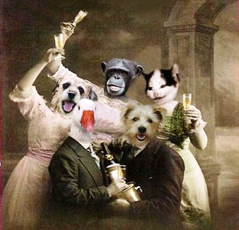 il_570xN.358073170_gjm2