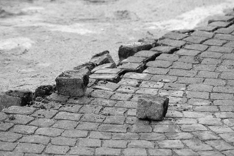 6313119908_147fa78887_z