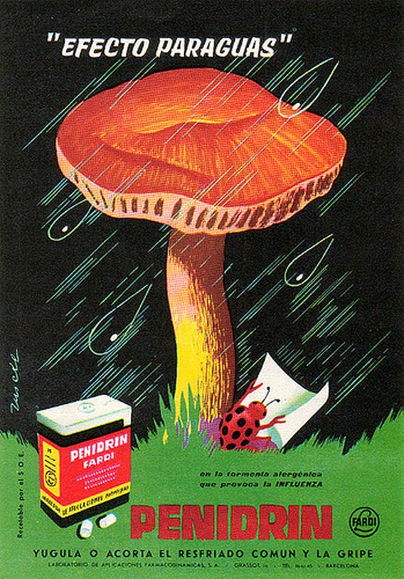 316715038_1d6ab9352c