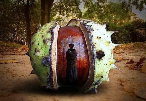 ben-goossens-artworks23