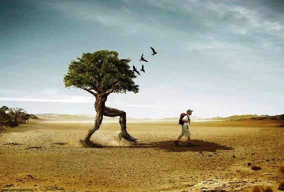 Trees_Walker_animationstudios