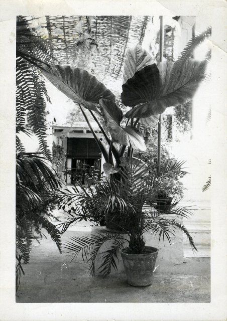 0fb517f06337c5925bc29c329bdbed29