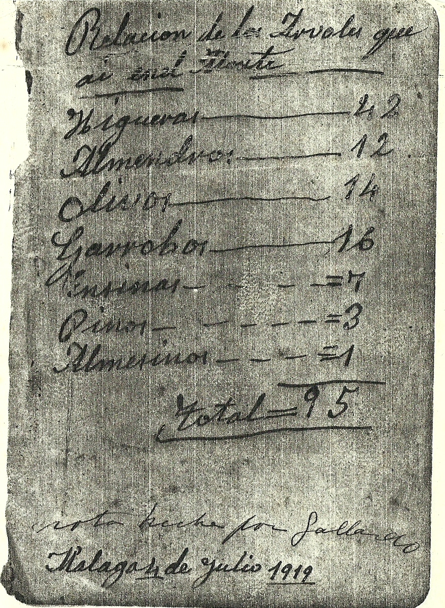 LA CAÑADA-ÁRBOLES 1919-0001