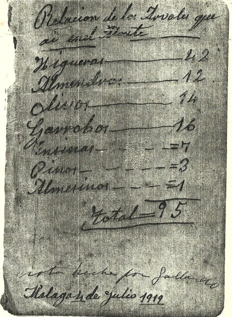 LA CAÑADA-ÁRBOLES 1919-0001