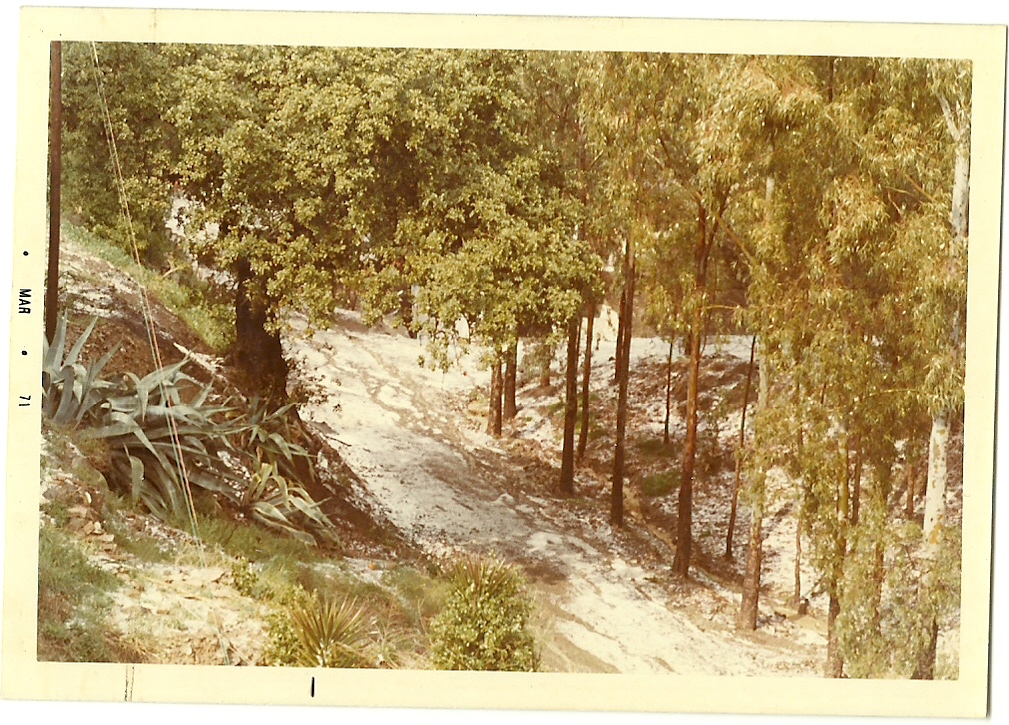 LA CAÑADA-GRANIZADA MARZO 71-0001