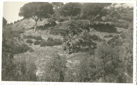 LA CAÑADA-VISTA MONTE CASA GRANDE 19480001