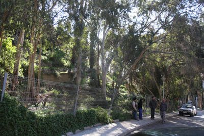 monte gibralfaro expropiacion