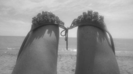 13815095_1229962283695189_1719789621_n