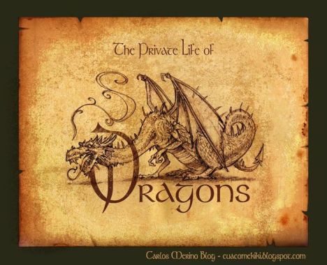 262617_10151172945106366_159632629_n