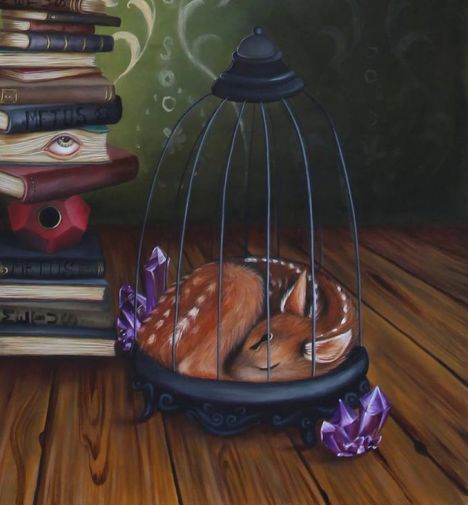 14317532_10209354566797003_6543751808306515802_n