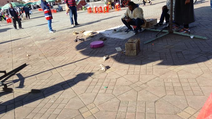 20161121_141455-copia