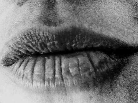 15207811_10208015082237362_1388505_n