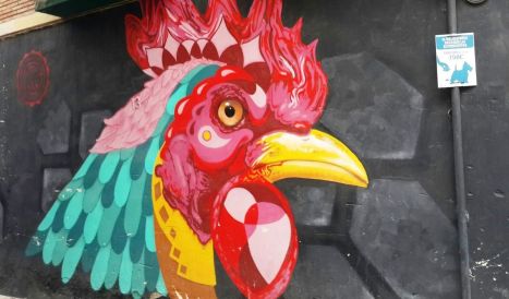 whatsapp-image-2017-03-04-at-08-55-36